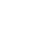 Live Icon